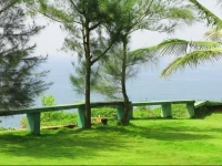 Seashore Beach Resort Varkala 