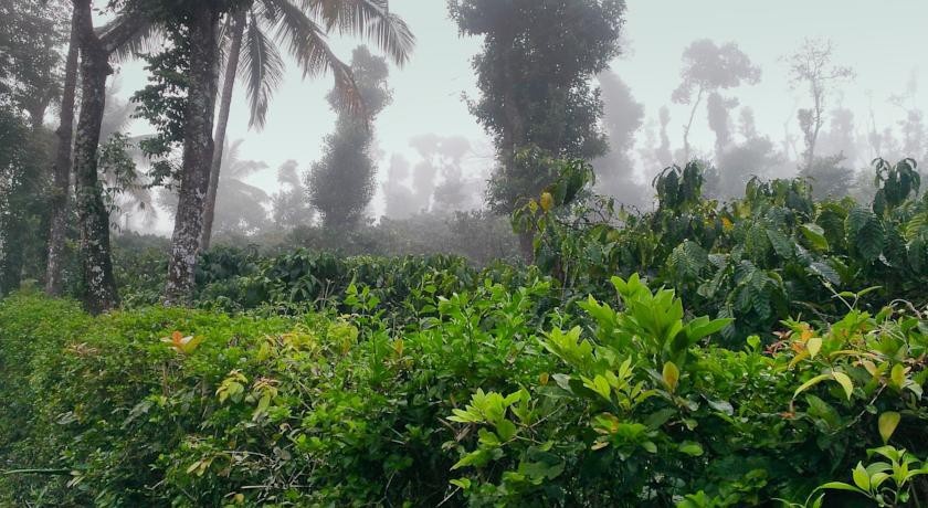 SanJose Holiday Home Resort,Virajpet 