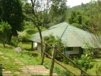 Orchard Holiday Resort 