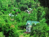 Vythiri Greens Holiday Resort 