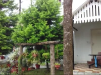 The Raintrees Resorts 