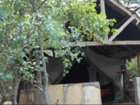 Semadep Mara Camp