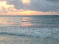 Shalom Cottages Diani 
