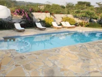 The Pelican Lodge 