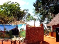 Shimba Hills Lodge 
