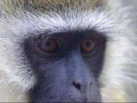 Maralal Safari Lodge & Wildlife Reserve 