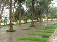 Furnished Apartment in Nairobi 