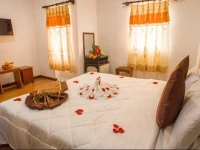Golden Tulip Hotel 