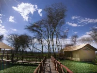 Kiboko Luxury Camp 