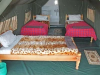 Fisi Camp 