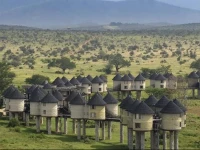 Sarova Salt Lick Game Lodge 