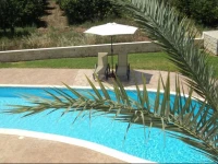 Citrus Grove Villa 