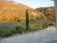 Adonis Palace 