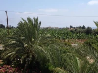 Arkadia Villa 