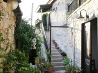 Persephone House Pendakomo 