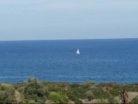 Corona Villas 