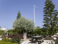 Eliofos Center 
