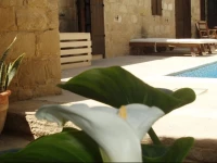 Vrakas House 