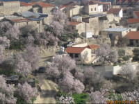 Oinochori