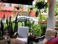 Casa Miraflores 3*