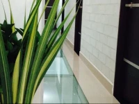 Hotel Mi Colombia 3*