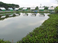 Chanthala Resort 