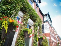 Acer Guest House 4*