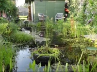 Amsterzonian B&B 