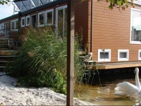 B&B Houseboat between Amsterdam Windmills 