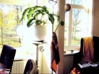 Bikes with MissOrtelia B&B 