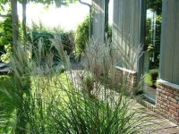De Greenhouse 