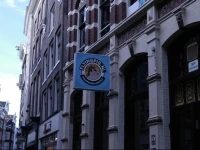 The Flying Pig Downtown 