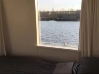 The Island 