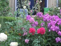 B&B Culture in green 