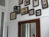 Het Gele Huis 