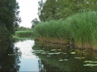 B&B Aan De Waver 