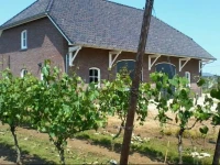 Wijnhuis Baarlo 