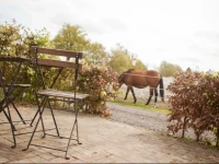 Bed & Breakfast de Bimdhoeve 