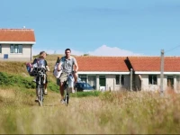 Holiday home De Cocksdorp Krimweg 