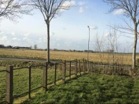 B&B Het Witte Huis 