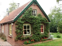 De Merel 