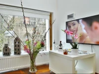 Luxury Apartments Delft I 