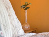B&B t Morshuis 