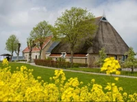 Oppe Klincke 