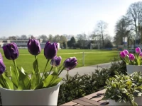 Short Stay Cricket Mansion 