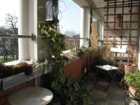 Treetop Apartment 