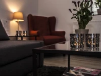 Relaxed Slapen & Vergaderen - appartement Frans Hals 