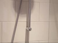 Tempelier Haarlem