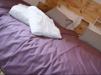B&B Stadslodge De Meiboom 