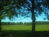Holiday home Vakantiehuisjes De Betuwe 6 